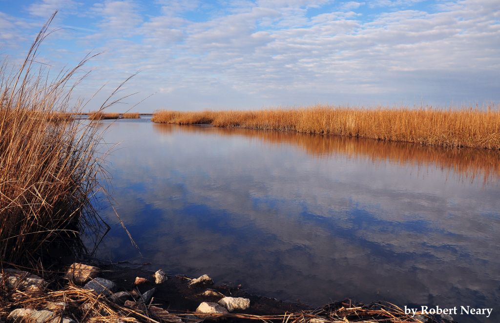 Duane-Loveland_Brecks-Mil-on-Brandywine